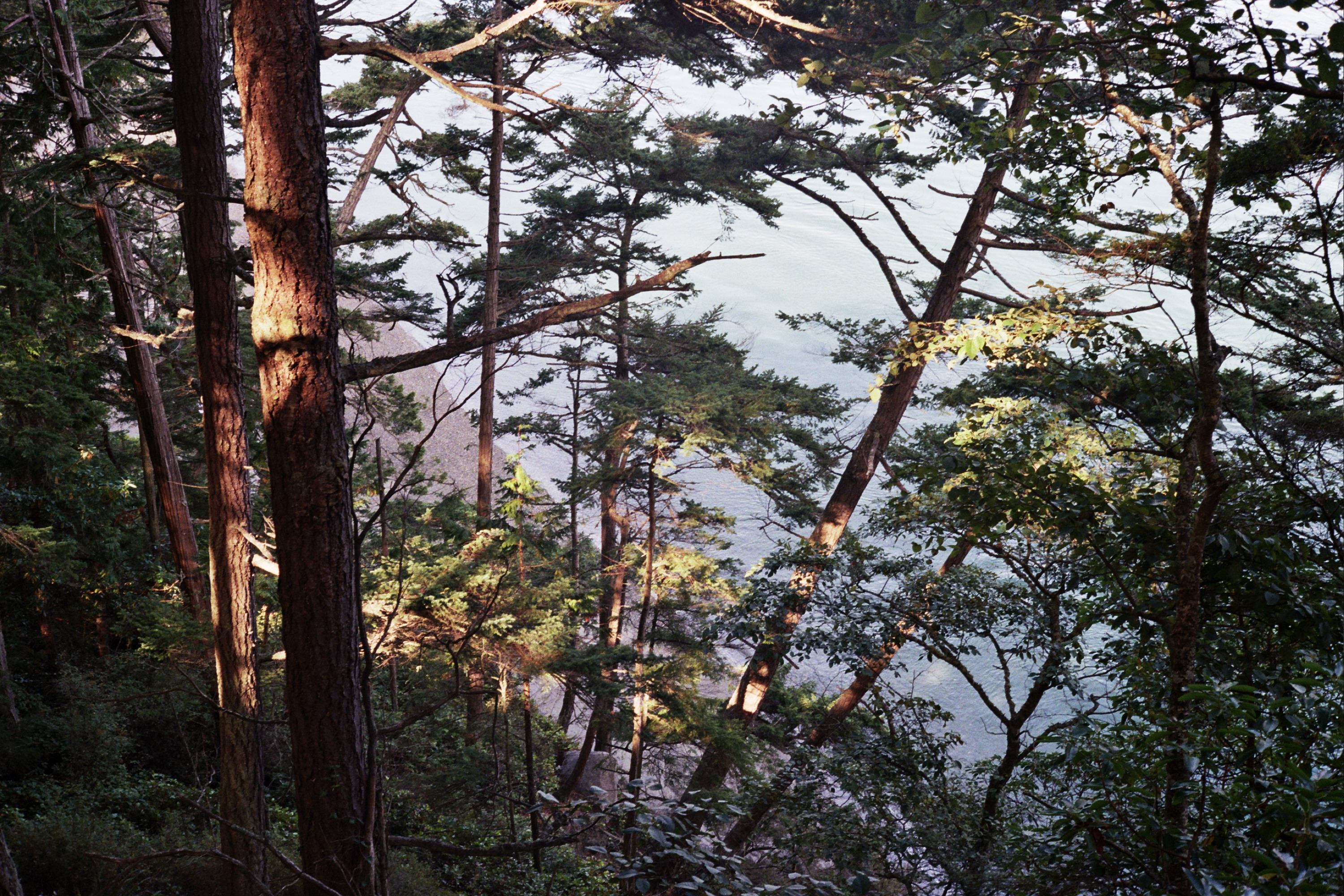 Washington State photograph