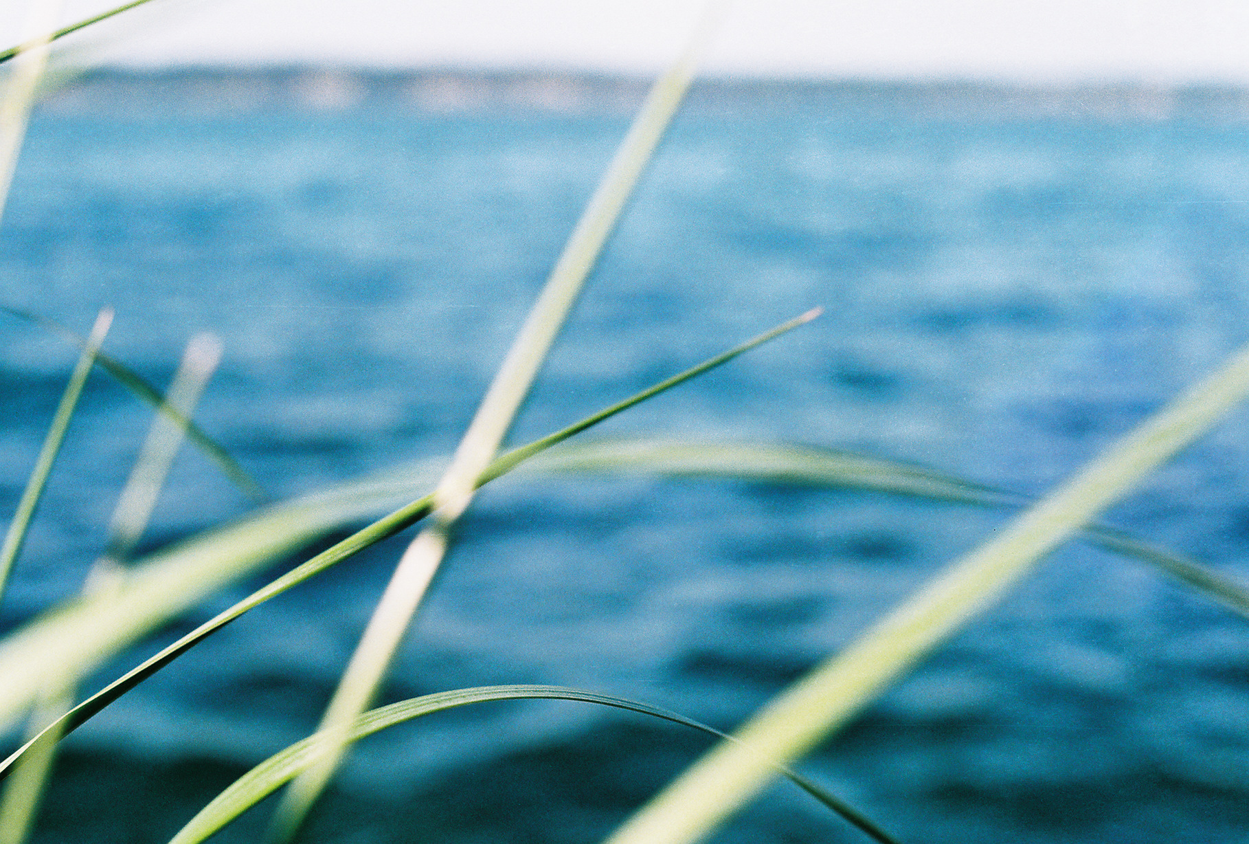 Washington State photograph