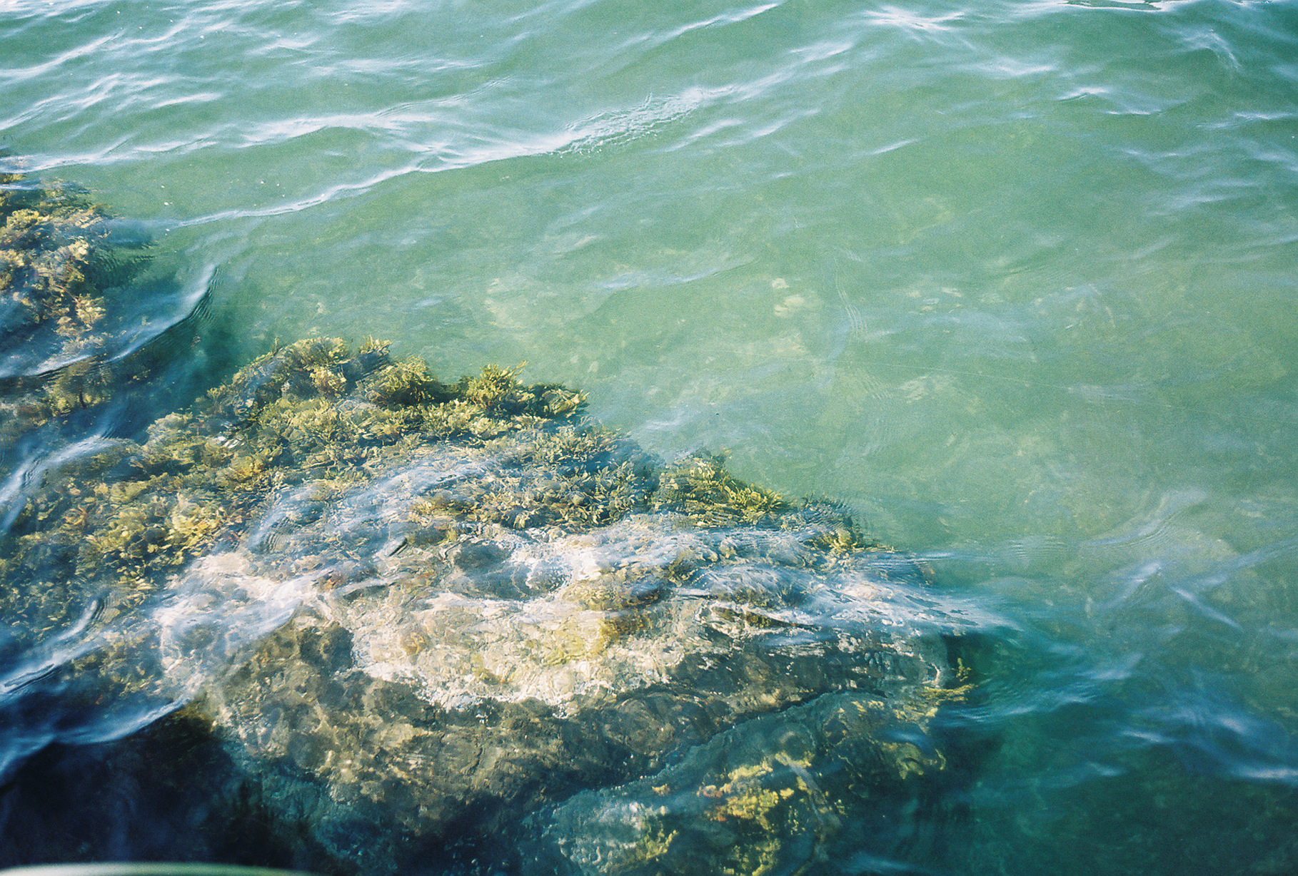 Washington State photograph