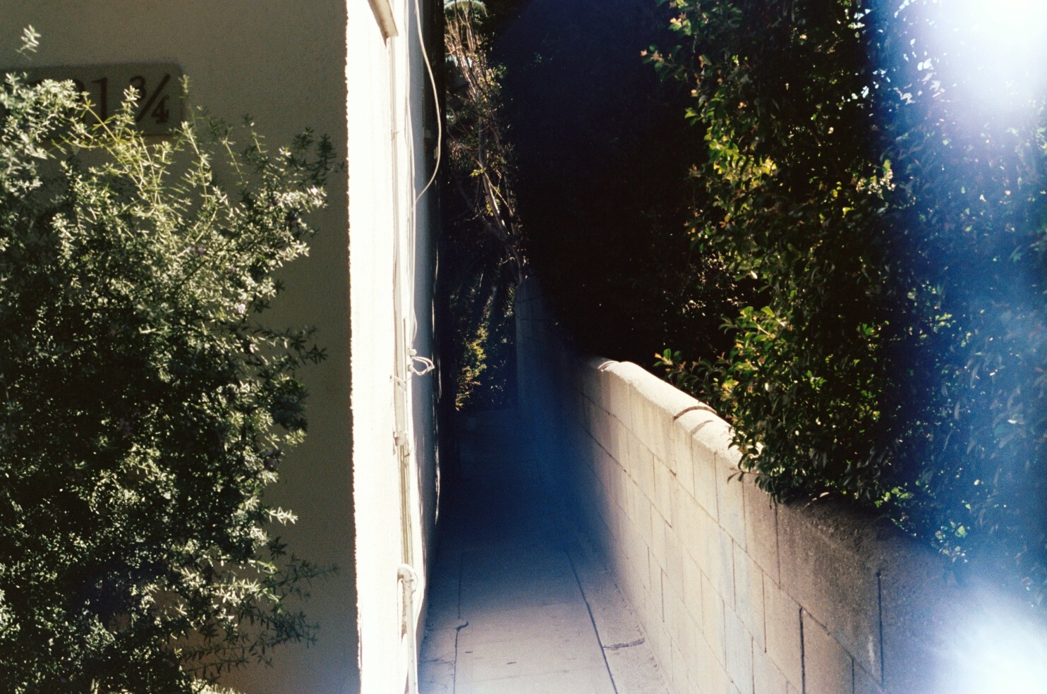 California photograph