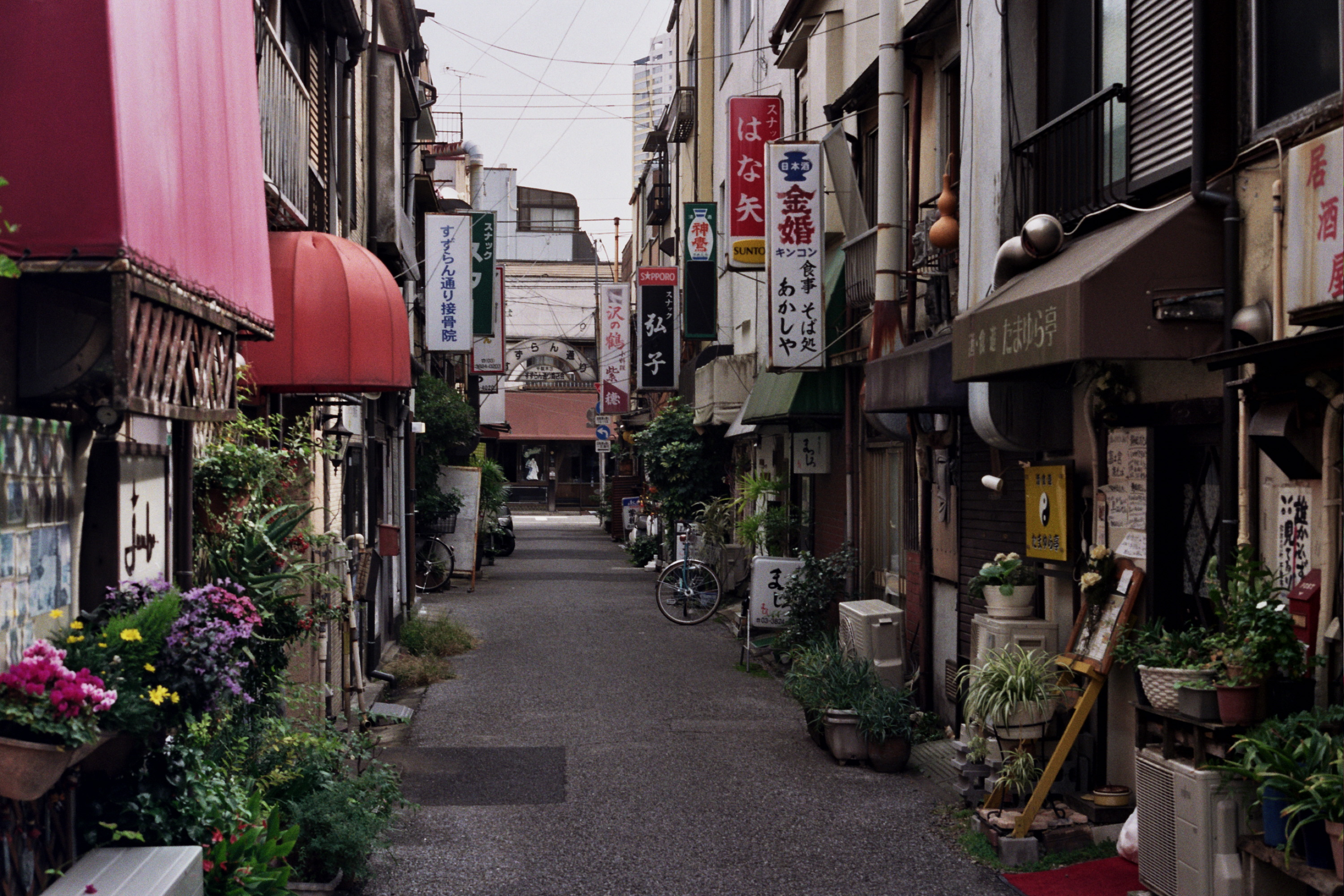 Japan photograph