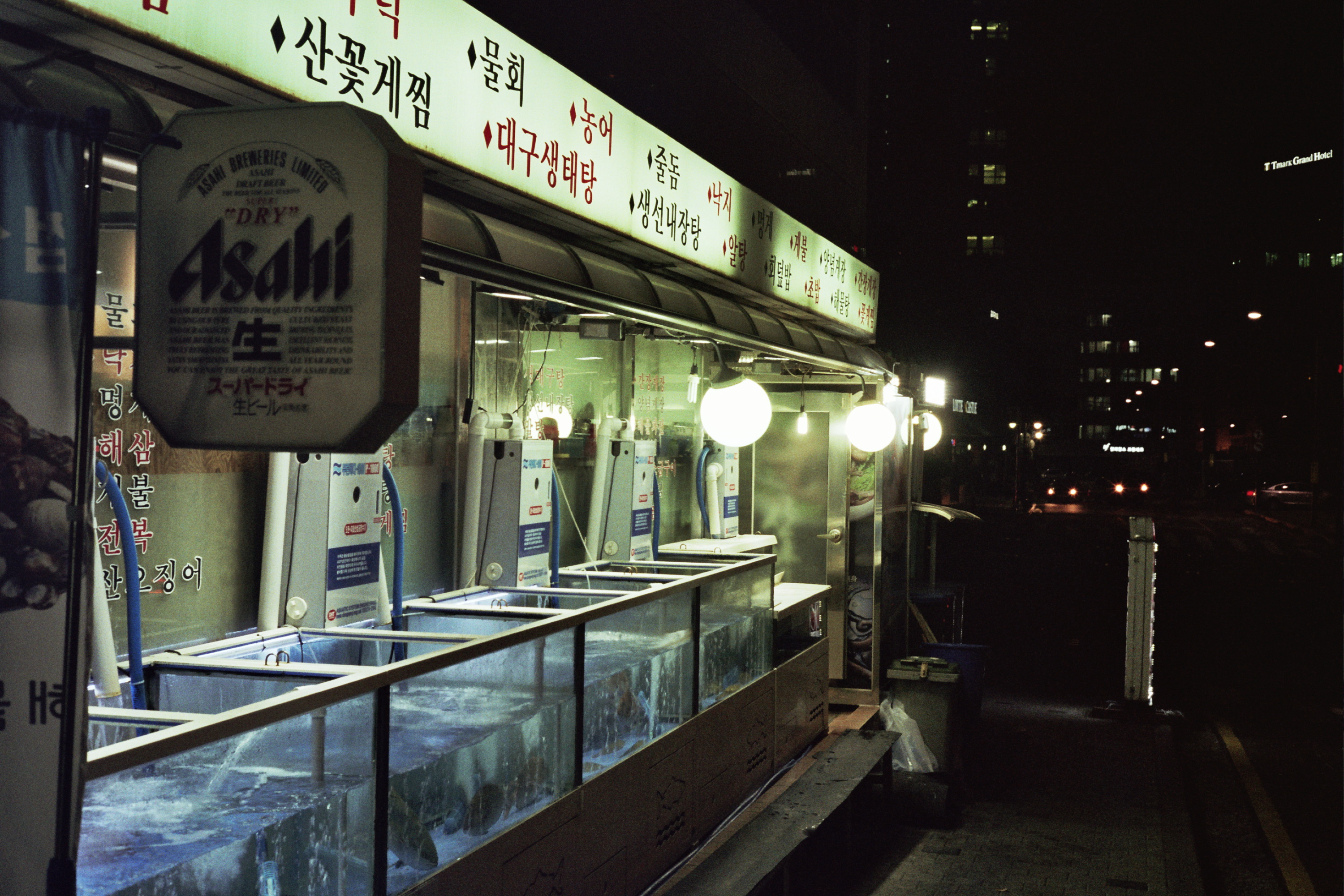 South Korea photograph